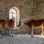 Gemuetliches Studio Mit Alkovenbett & Sonnenterrasse Apartmán Großharthau