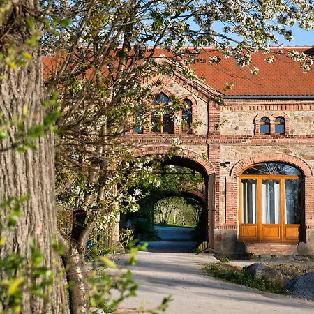 Hexenburgbeidresden Mit Sonnenterrasse, Alkovenbett, Wohn- Und Essbereich, Fussbodenheizung Und Klimaanlage, Decke Apartman Großharthau