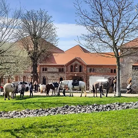 Apartman Hexenburgbeidresden Mit Sonnenterrasse, Alkovenbett, Wohn- Und Essbereich, Fussbodenheizung Und Klimaanlage, Decke