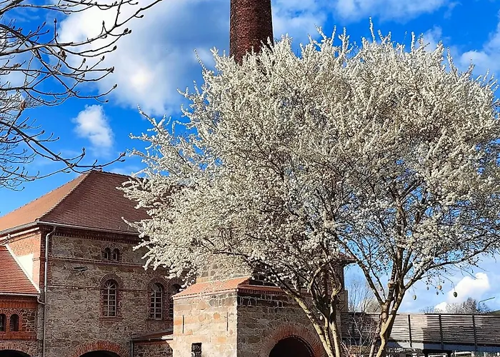 Hexenburgbeidresden Mit Sonnenterrasse, Alkovenbett, Wohn- Und Essbereich, Fussbodenheizung Und Klimaanlage, Decke Apartman